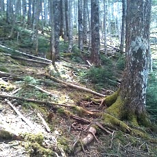 130606_p14.jpg