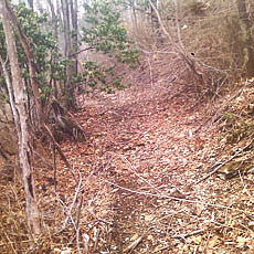 140419_p10.jpg