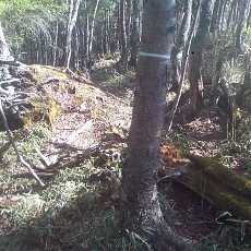 140504_p04.jpg