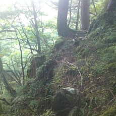 140913_p23.jpg