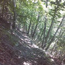 150711_p09.jpg