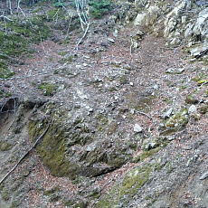 170519_p17.jpg