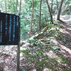 170617_p41.jpg