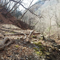 180329_p14.jpg