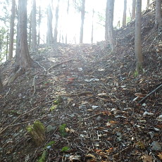 190302_p33.jpg