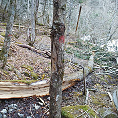 200001_p03.jpg