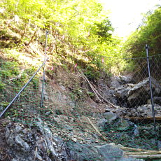 200605_p13.jpg