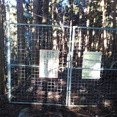 211020_p02.jpg