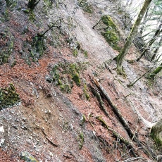 220416_p17.jpg