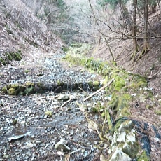 230304_p04.JPG