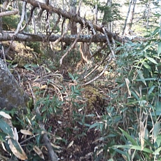 221112_p44.jpg