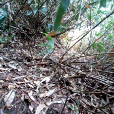 241022_p20.jpg