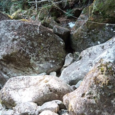 240612_p53.jpg