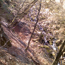 130428_p05.jpg