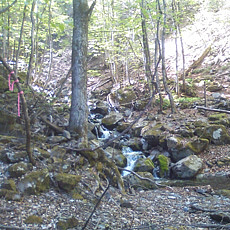 130517_p12.jpg