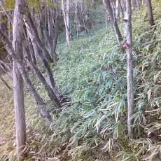 150522_p34.jpg