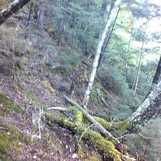 150919_p11.jpg