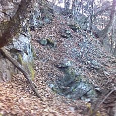 151207_p11.jpg