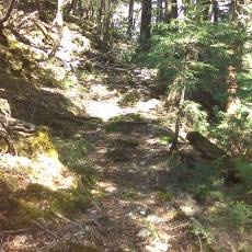 160505_p03.jpg