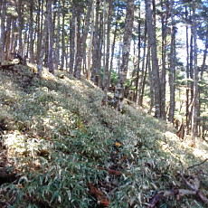 170529_p16.jpg