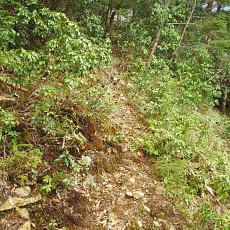 180512_p10.jpg