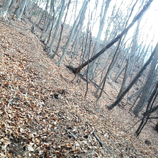 190323_p35.jpg