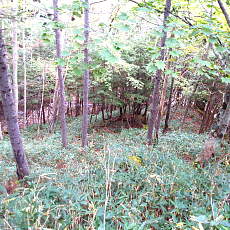 201004_p31.jpg