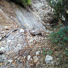 201004_p36.jpg