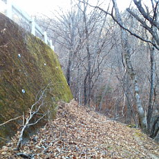 201220_p24.jpg