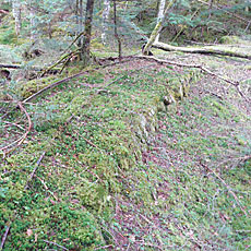 210916_p17.jpg