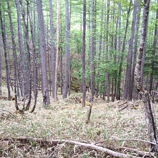 220618_p38.jpg