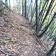 231030_p01.jpg