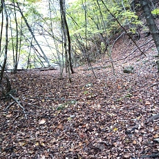 231030_p37.jpg