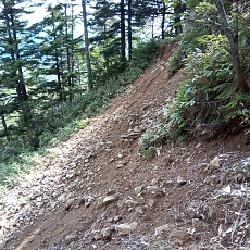 240612_p47.jpg