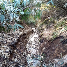 240530_p11.jpg