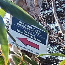 240530_p15.jpg