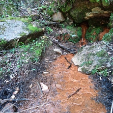250629_p11.jpg