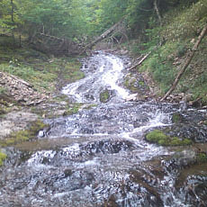 130623_p15.jpg
