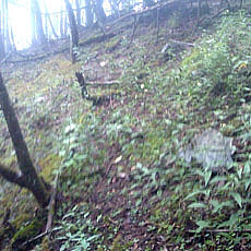 130726_p13.jpg