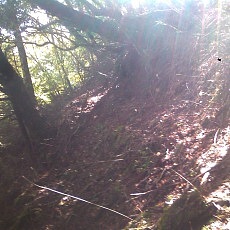 131006_p24.jpg