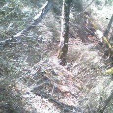 140517_p18.jpg