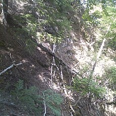 140922_p13.jpg