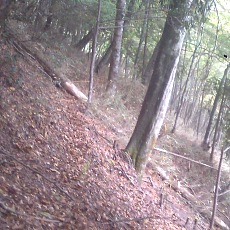 141004_p17.jpg