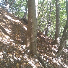 141011_p33.jpg
