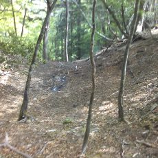 150523_p37.jpg