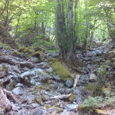 150605_p17.jpg