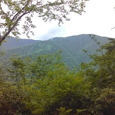 150605_p33.jpg