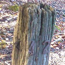151103_p07.jpg