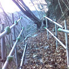 160109_p01.jpg