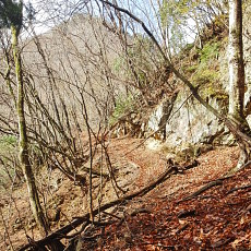180412_p01.jpg